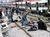 Images (2)_tiny